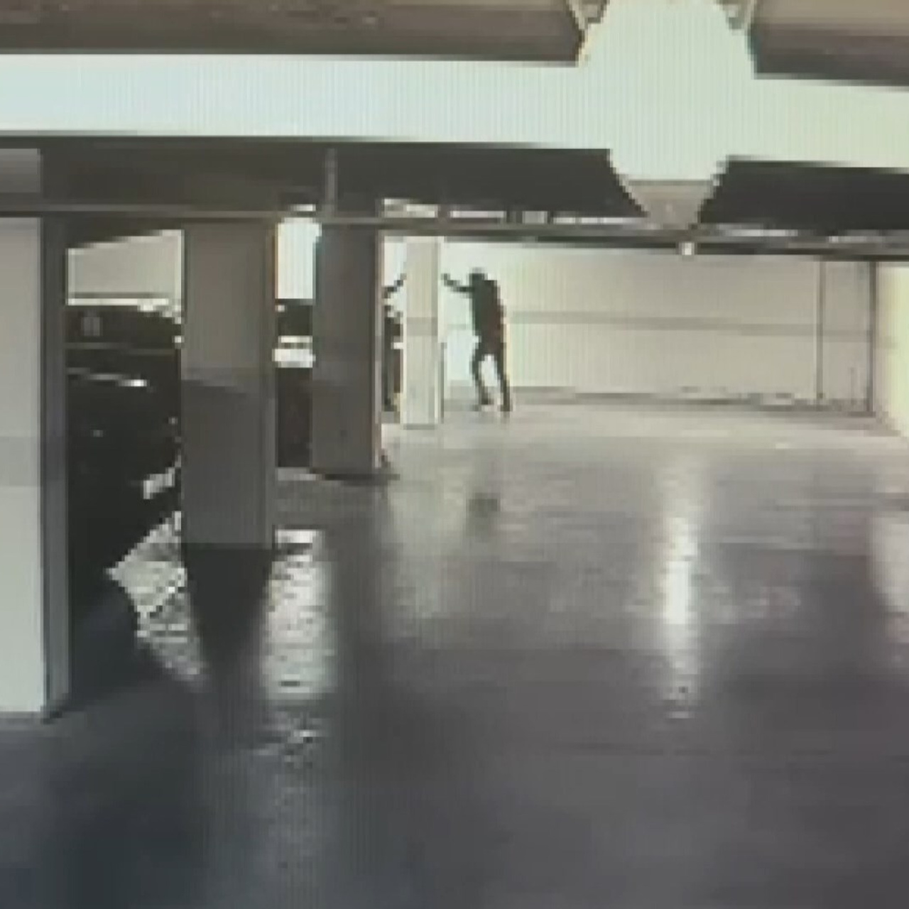 Otoparktaki 30 milyon dolarlık soygunda 9 tutuklama