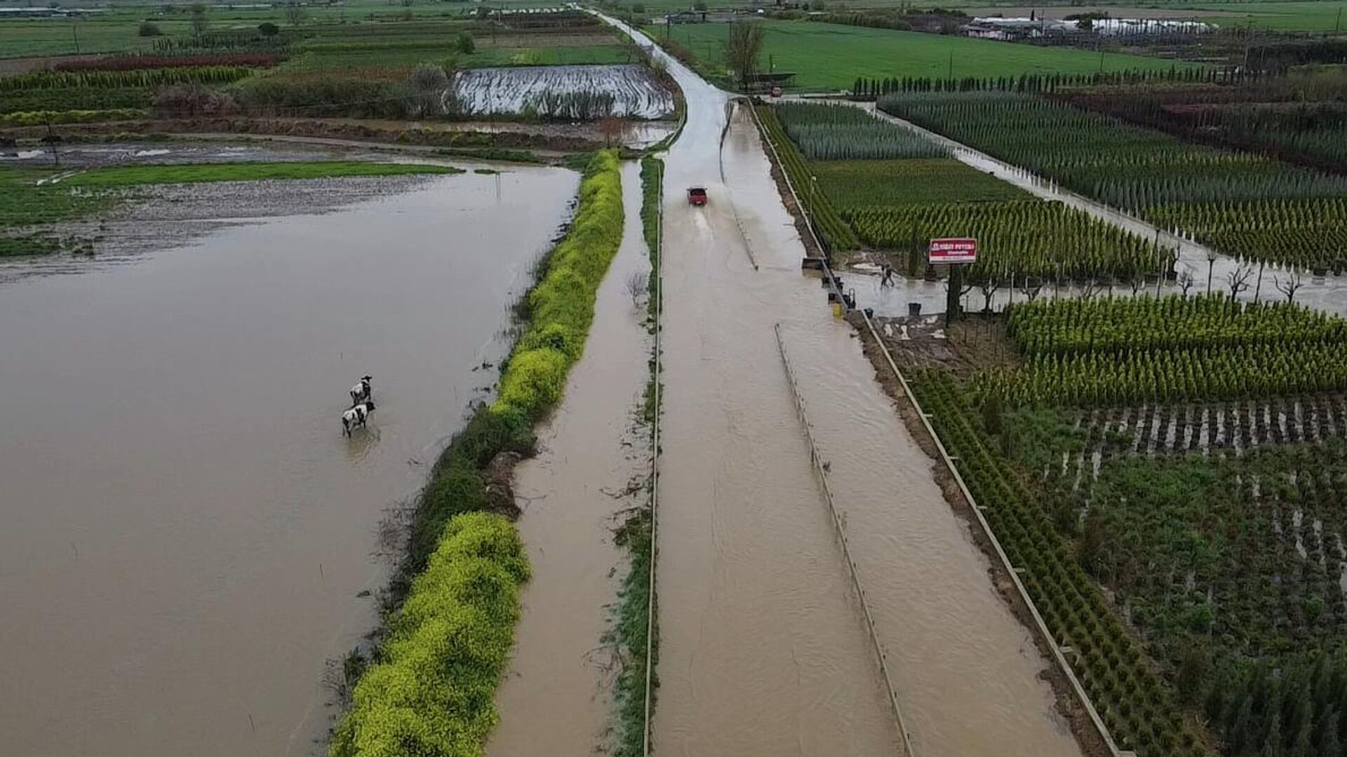İzmir’i sağanak vurdu: Ödemiş-Tire yolu sular altında